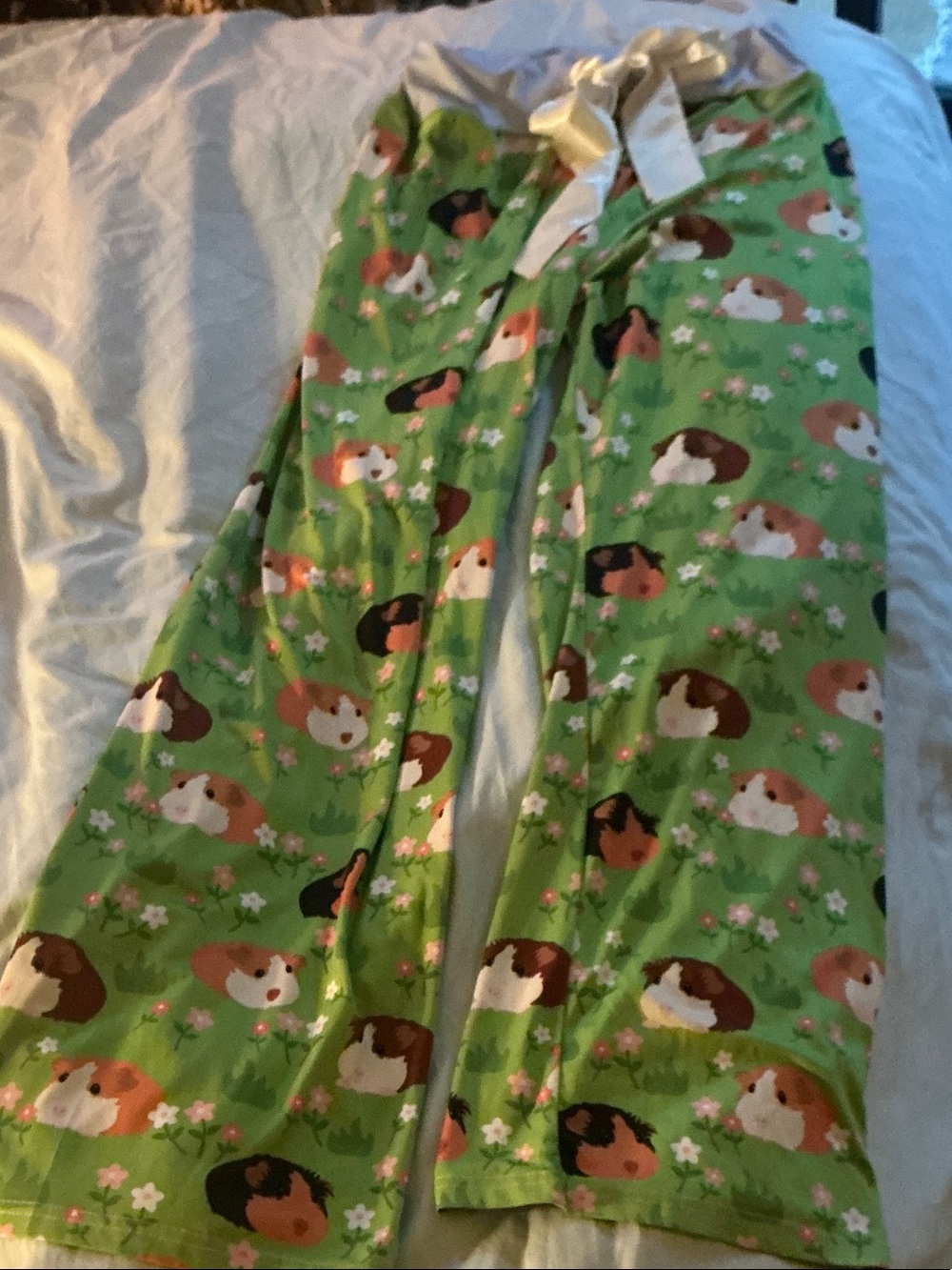 Adult Green Guinea Pig Print Pants XL